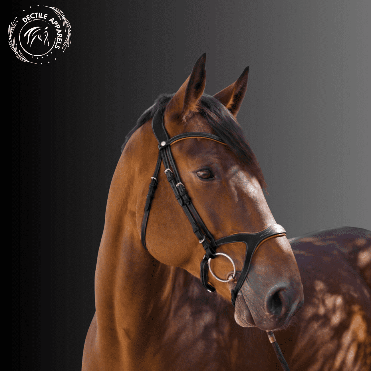 Horse Hunter Jumper Halter 2