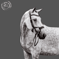 Black Prestige EquiFit Bridle