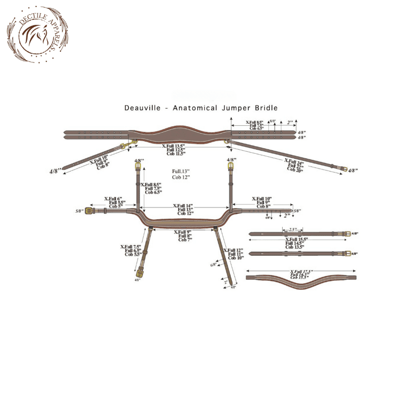 Regal Comfort Anatomical Bridle